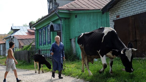 Вид на улицу в деревне Вид на улицу в деревне