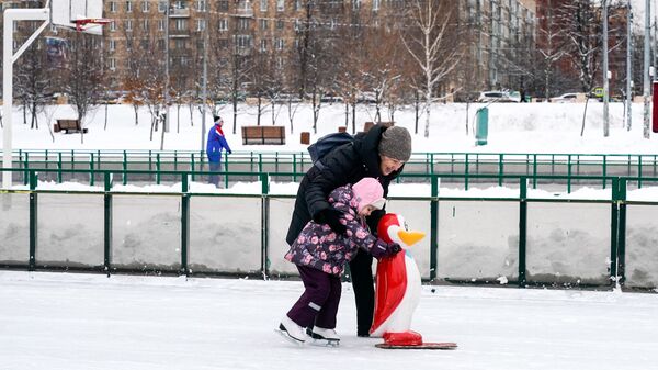 Каток в парке Надежда Каток в парке Надежда