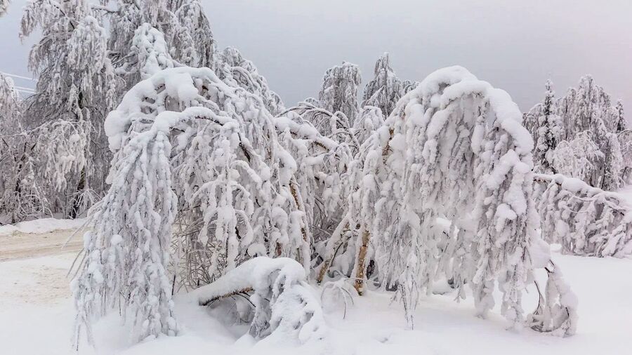 Каменный город Каменный город