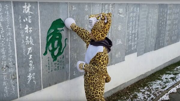 Видео о приключениях дальневосточного леопарда Видео о приключениях дальневосточного леопарда