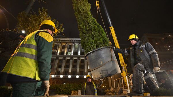 Высадка деревьев зимних пород на Тверской улице Высадка деревьев зимних пород на Тверской улице