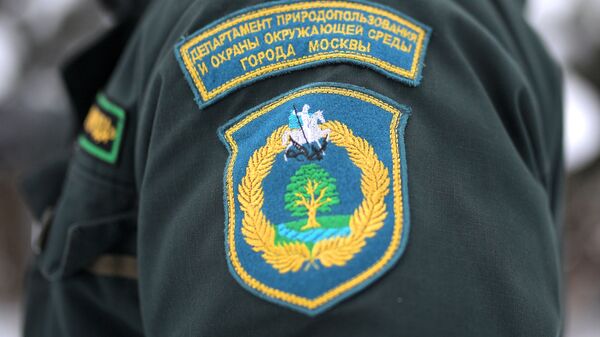 Рейд по незаконной вырубке елок в парке Кузьминки Рейд по незаконной вырубке елок в парке Кузьминки