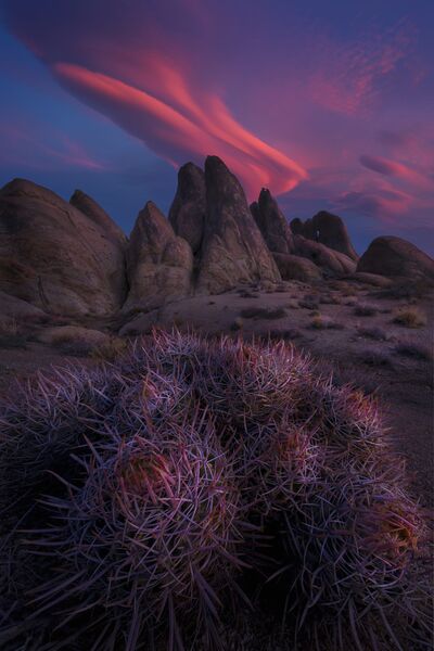 Работа фотографа Miles Morgan. Конкурс фотографии The International Landscape Photographer of the Year 2018 Работа фотографа Miles Morgan. Конкурс фотографии The International Landscape Photographer of the Year 2018