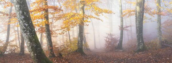 Работа фотографа Oliver Wehrli. Конкурс фотографии The International Landscape Photographer of the Year 2018 Работа фотографа Oliver Wehrli. Конкурс фотографии The International Landscape Photographer of the Year 2018