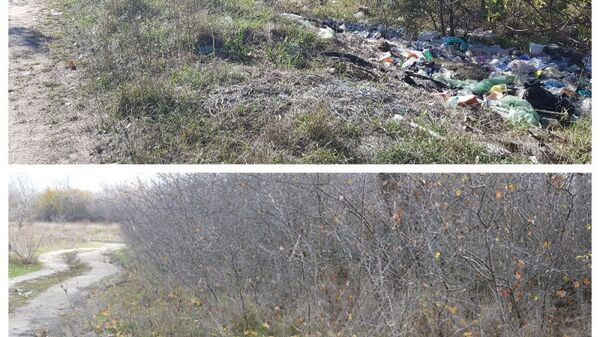 ОНФ в Ростовской области выявил факт уборки чиновниками свалок с помощью фоторедактора ОНФ в Ростовской области выявил факт уборки чиновниками свалок с помощью фоторедактора