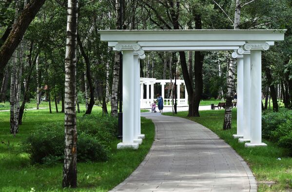 Вымощенная дорожка в Грачевском парке Вымощенная дорожка в Грачевском парке