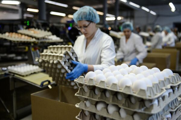 Сотрудница на участке сортировки и упаковки яиц на птицефабрике Ново-Барышевская в Новосибирской области Сотрудница на участке сортировки и упаковки яиц на птицефабрике Ново-Барышевская в Новосибирской области