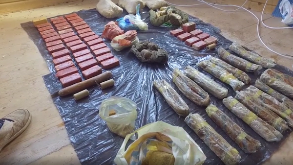 Обнаруженный тайник с оружием и взрывчатыми веществами в Московской области Обнаруженный тайник с оружием и взрывчатыми веществами в Московской области