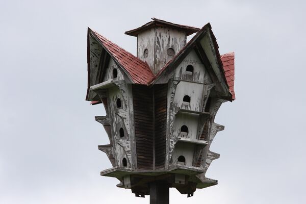 Скворечник в Канаде Скворечник в Канаде