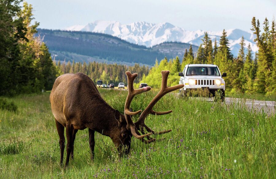 Канада, национальный парк Banff Канада, национальный парк Banff