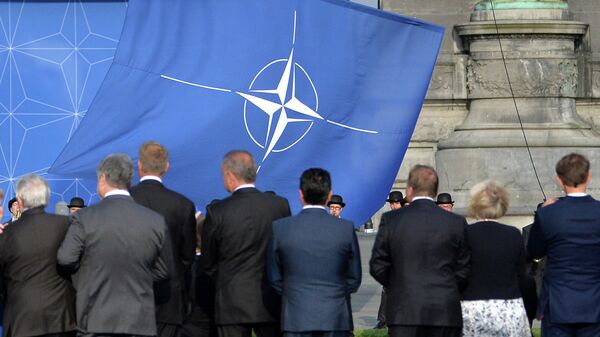 НАТО не заинтересована в Украине из-за России, заявил советник Трампа
