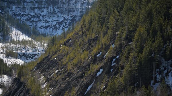 Изумрудно-бериллиевое месторождение Мариинский прииск в Свердловской области Изумрудно-бериллиевое месторождение Мариинский прииск в Свердловской области