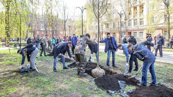 Воронежские депутаты посадили аллею в честь 25-летия парламента региона Воронежские депутаты посадили аллею в честь 25-летия парламента региона