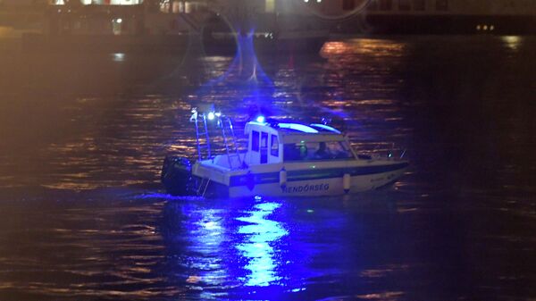 Полиция в районе крушения катера в Будапеште Полиция в районе крушения катера в Будапеште