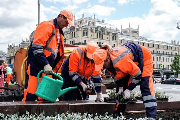 Цветники в Москве Цветники в Москве