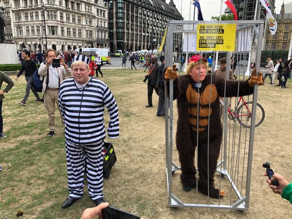 Участники акции протеста у Букингемского дворца в Лондоне против президента США Дональда Трампа, находящегося в Великобритании с официальным визитом. 4 июня 2019 Участники акции протеста у Букингемского дворца в Лондоне против президента США Дональда Трампа, находящегося в Великобритании с официальным визитом. 4 июня 2019