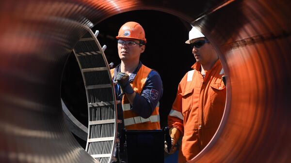 Рабочие на участке строительства газопровода Северный поток-2 в Ленинградской области Рабочие на участке строительства газопровода Северный поток-2 в Ленинградской области