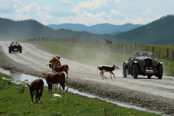 Участники международного ралли на старинных автомобилях Пекин - Париж 2019 на автомобильной дороге в Республике Алтай Участники международного ралли на старинных автомобилях Пекин - Париж 2019 на автомобильной дороге в Республике Алтай