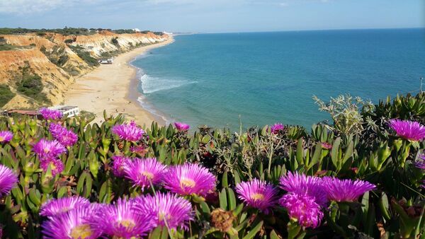 Алгарве. Панорама пляжа Алгарве. Панорама пляжа