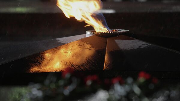 В Приамурье на памятнике погибшим в ВОВ изобразили солдат НАТО