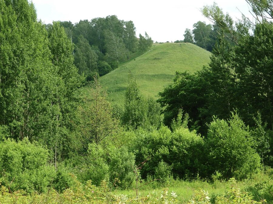 Лысая гора. Гороховец Лысая гора. Гороховец