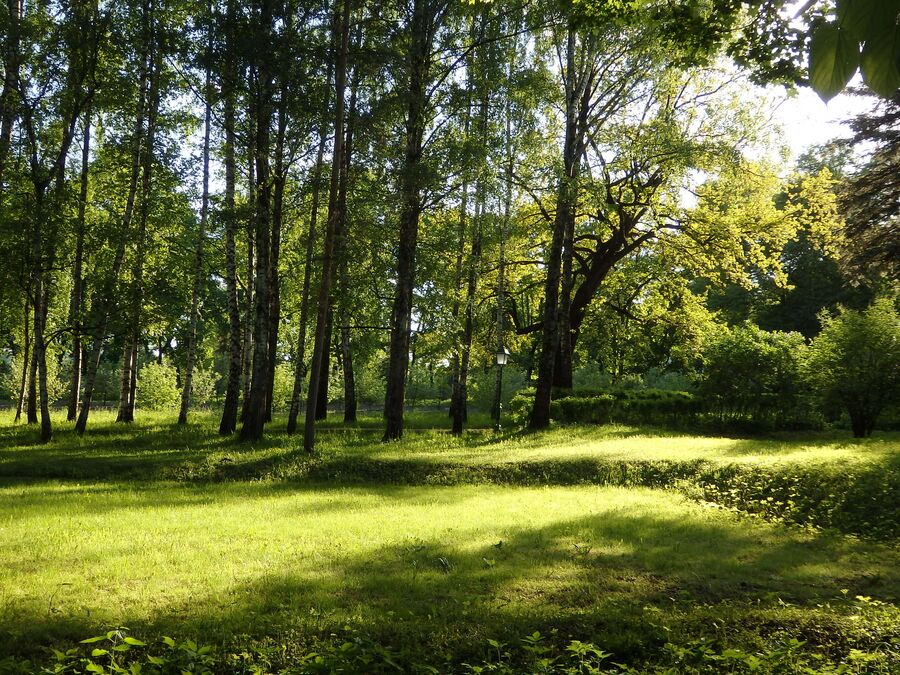 Парк Клины Парк Клины
