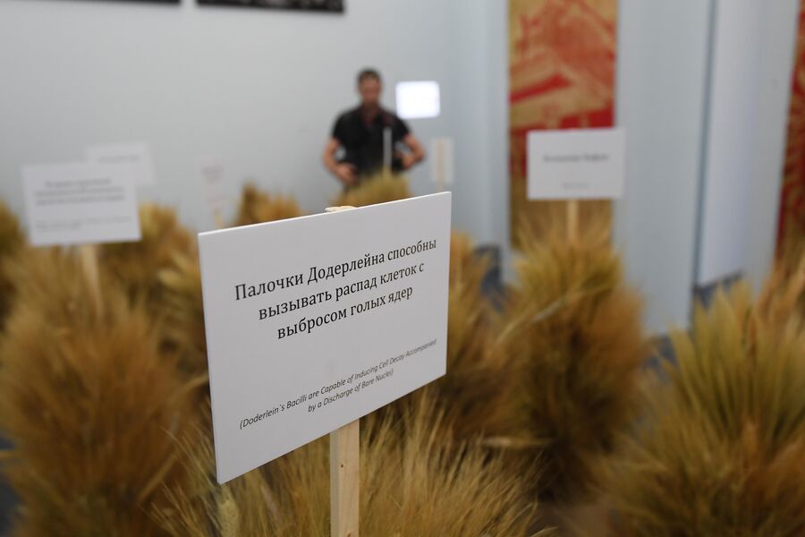 Посетители на выставке Посмотрим выставку! или Культурный код ВДНХ в рамках проекта Резидент на ВДНХ в Москве Посетители на выставке Посмотрим выставку! или Культурный код ВДНХ в рамках проекта Резидент на ВДНХ в Москве