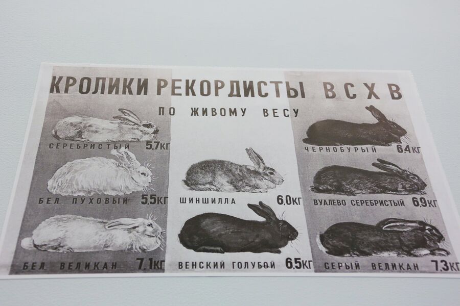 В павильоне Карелия плакат на выставке Посмотрим выставку! или Культурный код ВДНХ В павильоне Карелия плакат на выставке Посмотрим выставку! или Культурный код ВДНХ