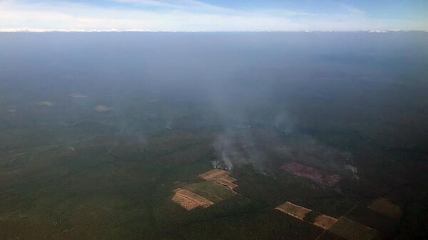 Лесные пожары в Красноярском крае

