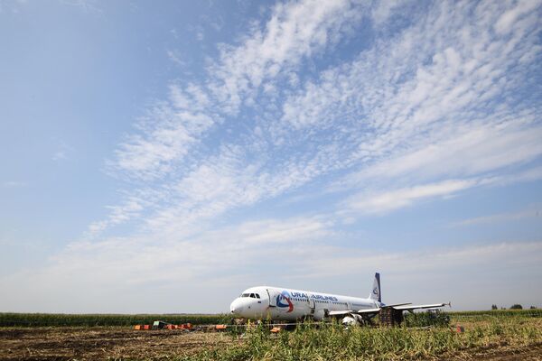 Самолет Airbus А321 авиакомпании Уральские авиалинии в кукурузном поле в районе деревни Рыбаки в Раменском районе Московской области Самолет Airbus А321 авиакомпании Уральские авиалинии в кукурузном поле в районе деревни Рыбаки в Раменском районе Московской области