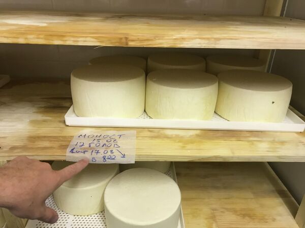Сыр Монастырский в сыроварне Александро-Невской лавры Сыр Монастырский в сыроварне Александро-Невской лавры