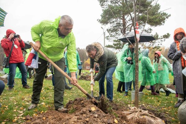 Первый подмосковный экофестиваль в парке Лосиный остров Первый подмосковный экофестиваль в парке Лосиный остров