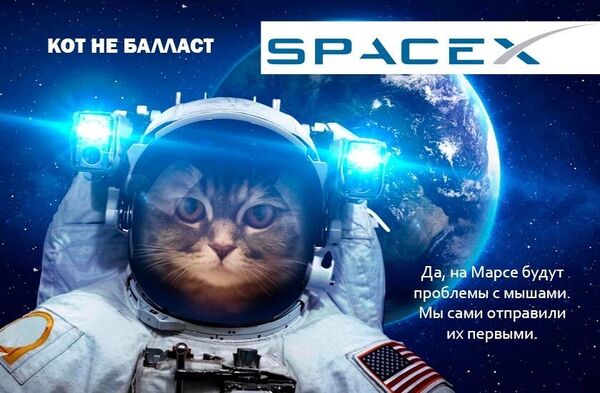 Кот Виктор Кот Виктор