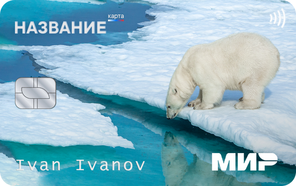 Прототип универсальной электронной карты для жителей Чукотского автономного округа Прототип универсальной электронной карты для жителей Чукотского автономного округа