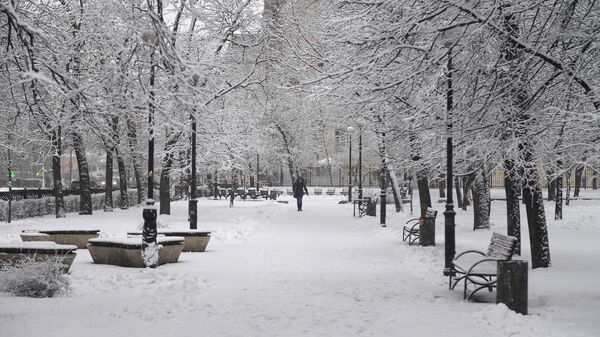 Высота снежного покрова в Москве достигла семи сантиметров