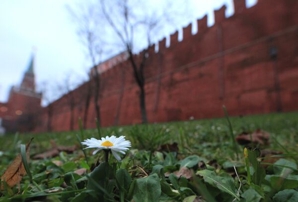 Аномальное тепло в Москве в преддверии зимы Аномальное тепло в Москве в преддверии зимы