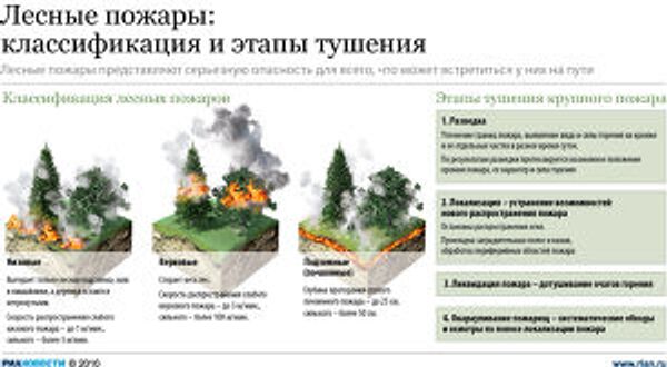 Лесные пожары: причины возникновения и методы предотвращения Лесные пожары: причины возникновения и методы предотвращения