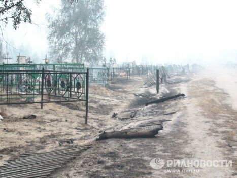 Деревня Криуши Клепиковского района Рязанской области Деревня Криуши Клепиковского района Рязанской области