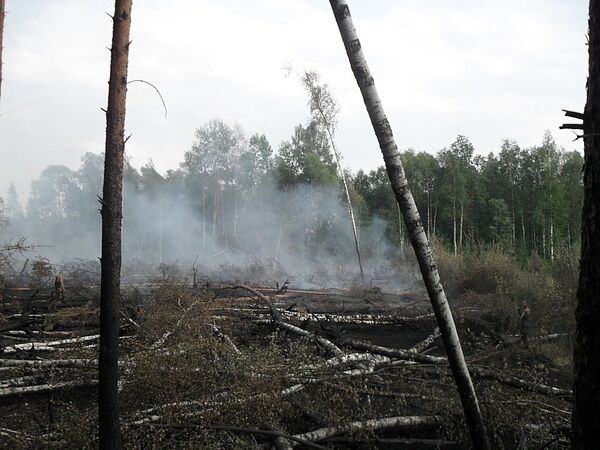 Пожар в Раменском лесу Пожар в Раменском лесу