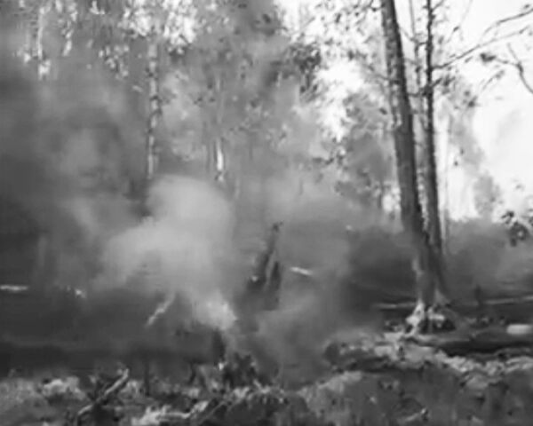 С огненной стихией боролись 30 тысяч добровольцев. 1972 год С огненной стихией боролись 30 тысяч добровольцев. 1972 год