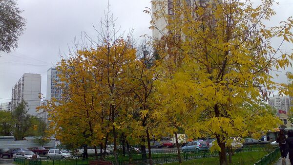 Город Москв,а р-н Новокосино. Архивное фото Город Москв,а р-н Новокосино. Архивное фото