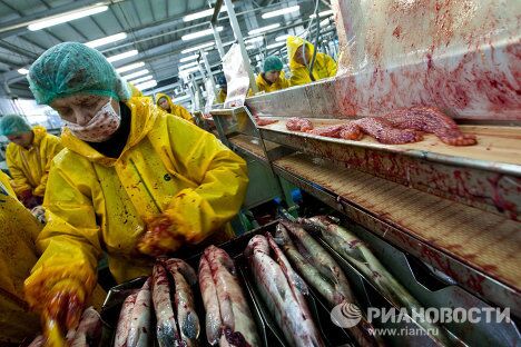 Курильские острова Курильские острова