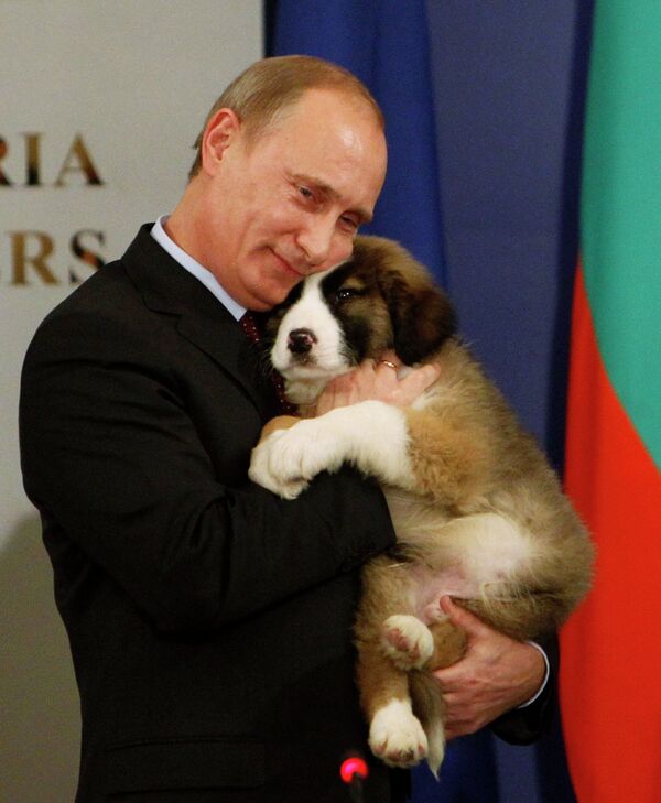 Владимир Путин со щенком Владимир Путин со щенком