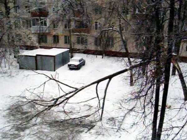 В Кузьминках падают деревья В Кузьминках падают деревья