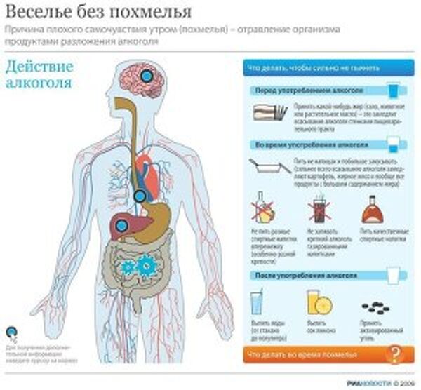 Веселье без похмелья Веселье без похмелья