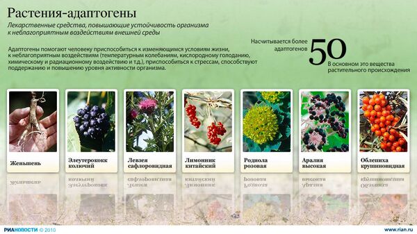 Растения-адаптогены Растения-адаптогены