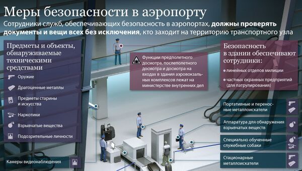 Меры безопасности в аэропортах России Меры безопасности в аэропортах России
