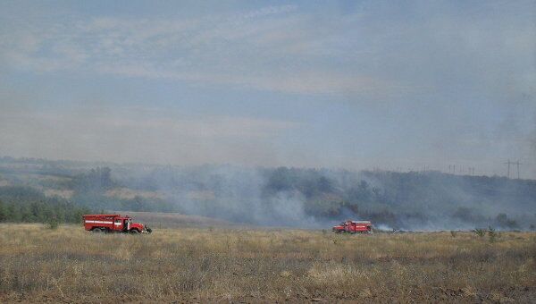Лесной пожар в Волгоградской области Лесной пожар в Волгоградской области