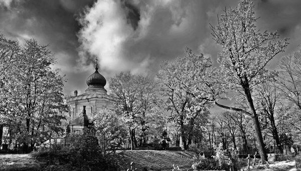 Зимний Петербург Зимний Петербург