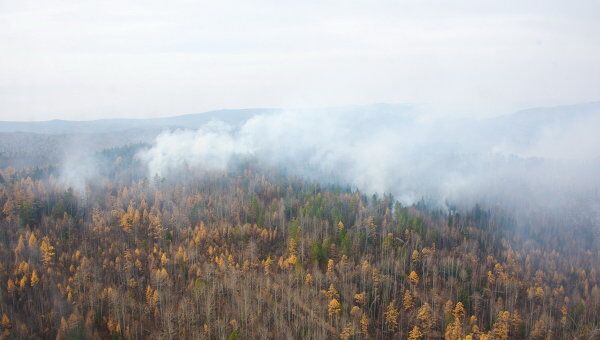 Тушение лесных пожаров. Архив Тушение лесных пожаров. Архив